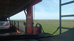 Sylt (3)